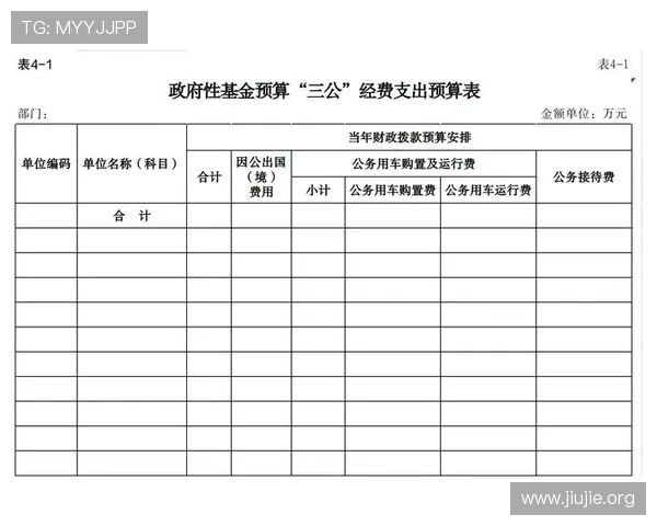 三公经费的预算编制与审批流程，政府部门如何确保三公经费的公开透明和合规性